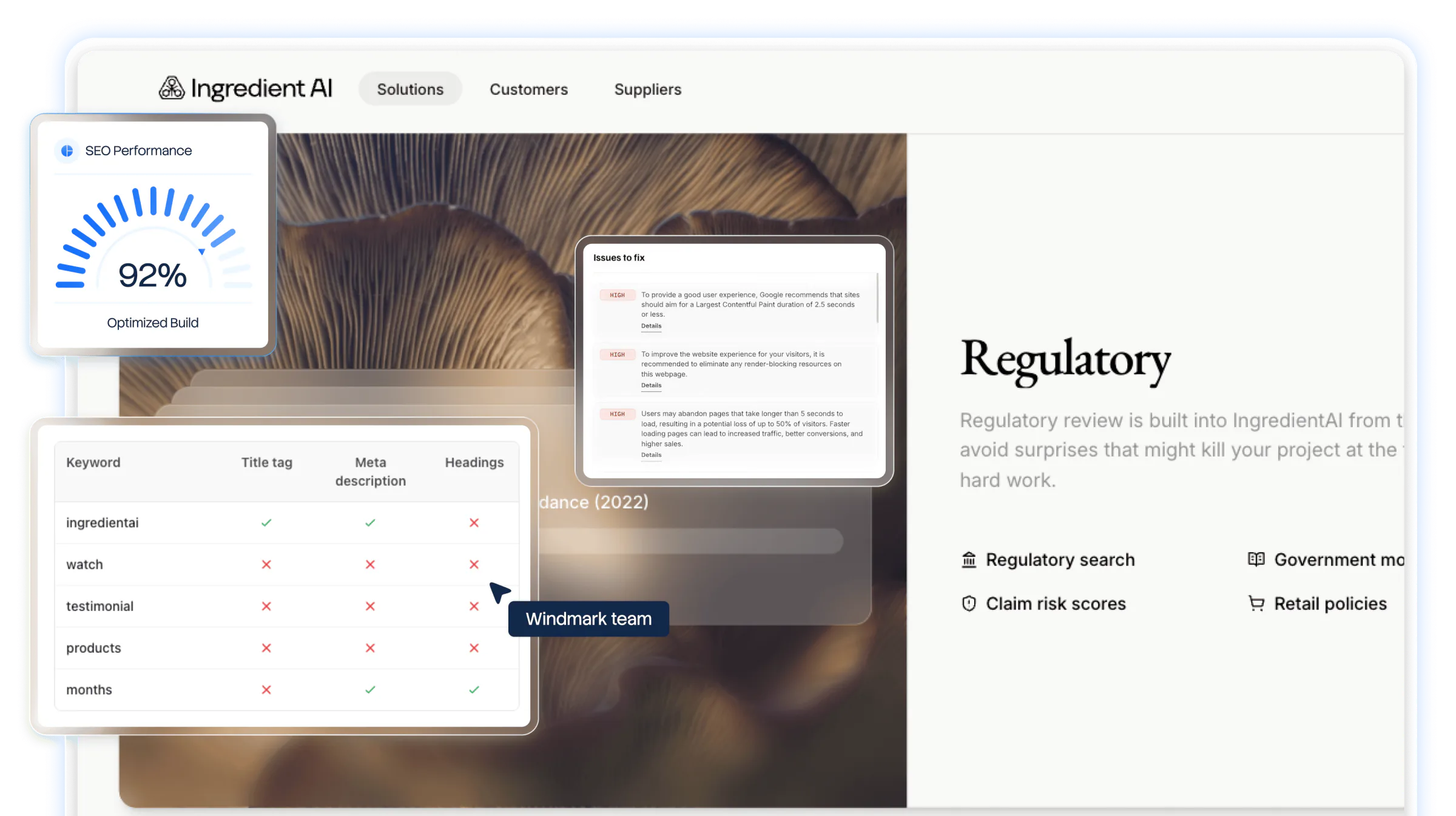 SEO service preview